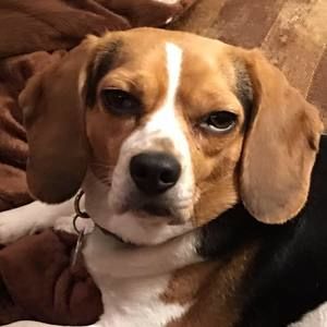 Meet your Posher, Christine